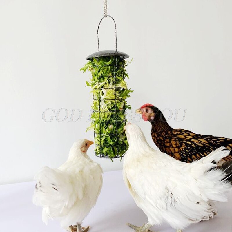 Cesta de alimentación para pollos, alimentador de verduras, frutas, verduras, Paloma, polluelo, gallina, diversión, caja de tratamiento de Metal, herramienta de alimentación