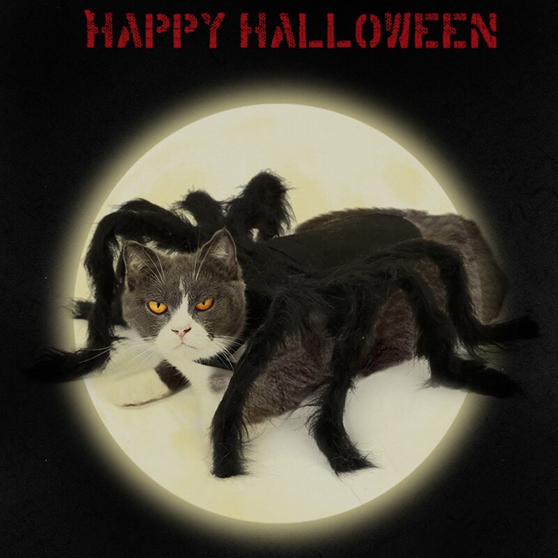 Husdjur Hund Halloween Spindeldräkt - Liten Hund & Kattunge Cosplay Väst för Fest Rollspel Utklädnad