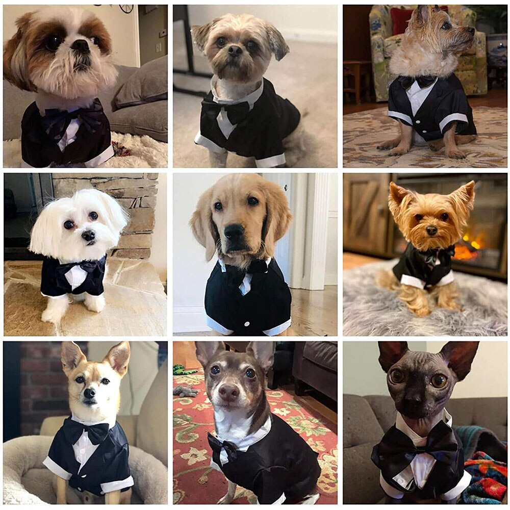 Costume de smoking pour chien, chemise formelle, veste de mariage noire, Costume pour animal de compagnie, chiot, Prince, Costume de cérémonie avec nœud papillon, petit chien, chat