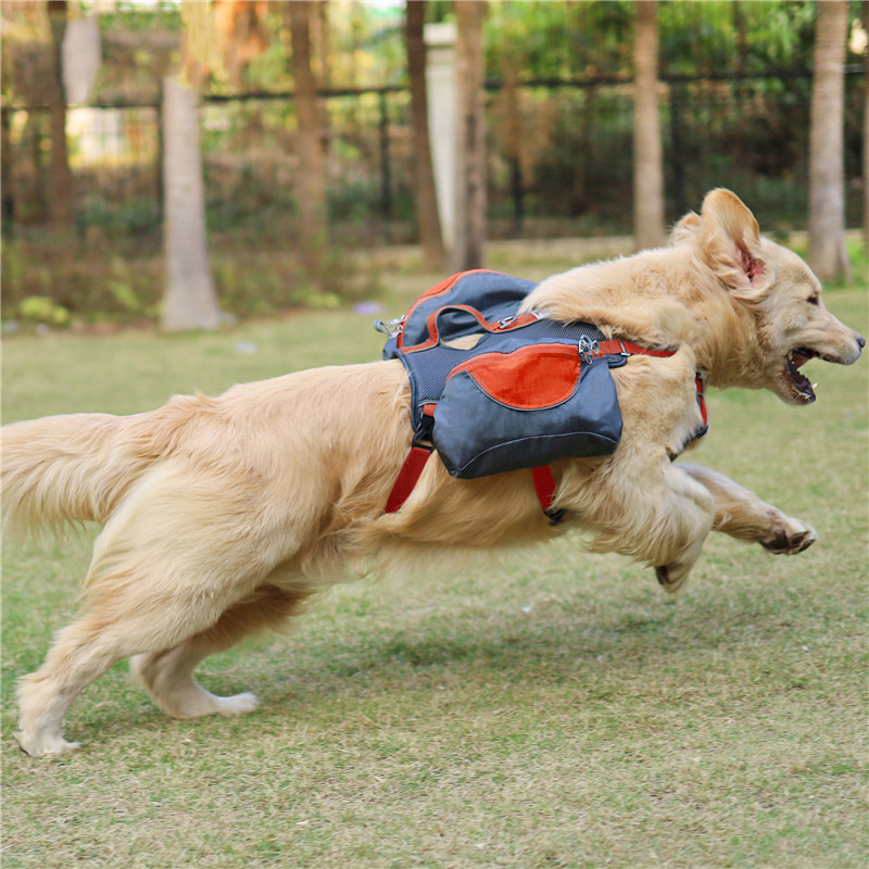 Sac de selle pour chien, sacoche de randonnée, souple, rembourré, grande capacité, pour l&#39;extérieur, harnais multifonction avec poignée pour animaux de compagnie