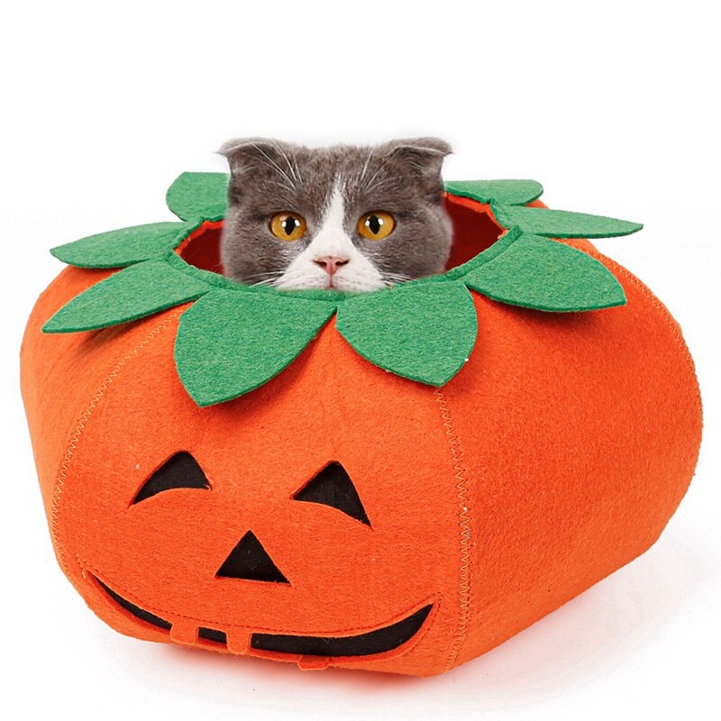 2020collares para mascotas, calabaza de Halloween para gatos, perros pequeños, bonitos accesorios para mascotas, Cute Neckband para gato, cachorro, vestido