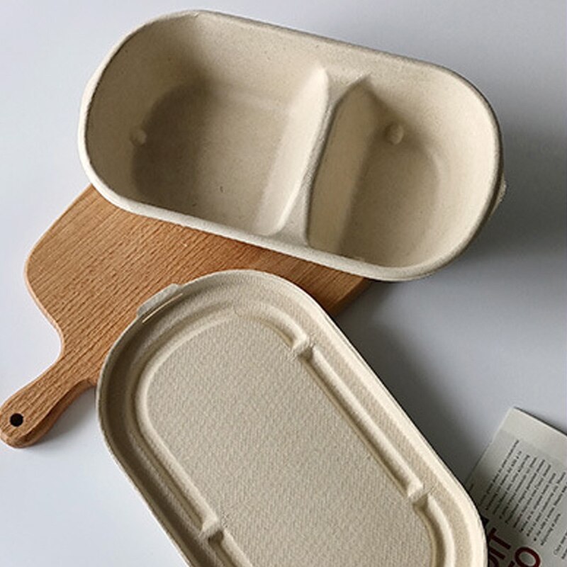 10Pcs Disposable Lunch Box Eco-Friendly Bento Box Bakery Container Fruit Hamburger Cake Meal Prep Packaging Food Container