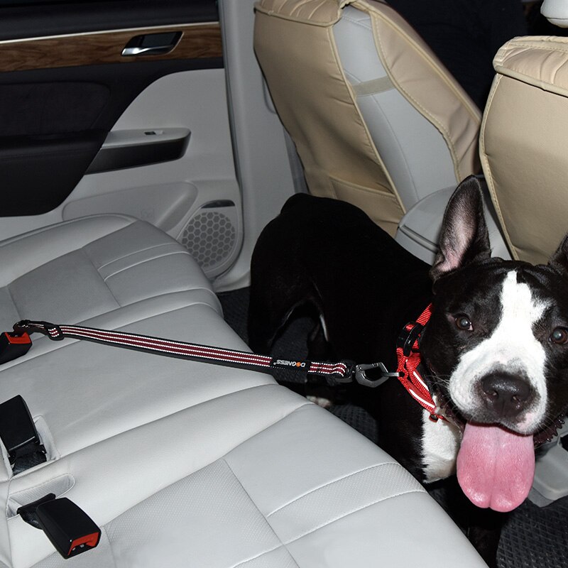 Verstelbare Hond Kat Autogordel Reflecterende Huisdier Voertuig Veiligheidsgordel Huisdier Veiligheid Leads Zware Reizen Outdoor Honden Accessoires
