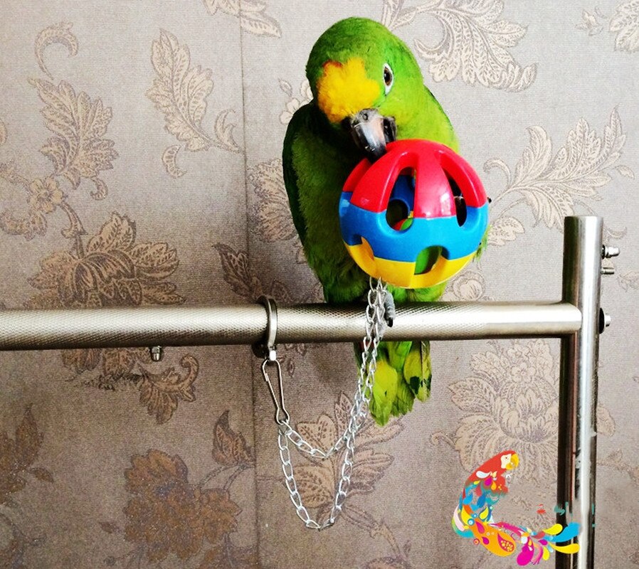 1PC animal de compagnie oiseau en plastique mâcher balle mignon animal perroquet jouet oiseau creux cloche boule chaîne Cage jouet pour perroquet calopsitte perruche