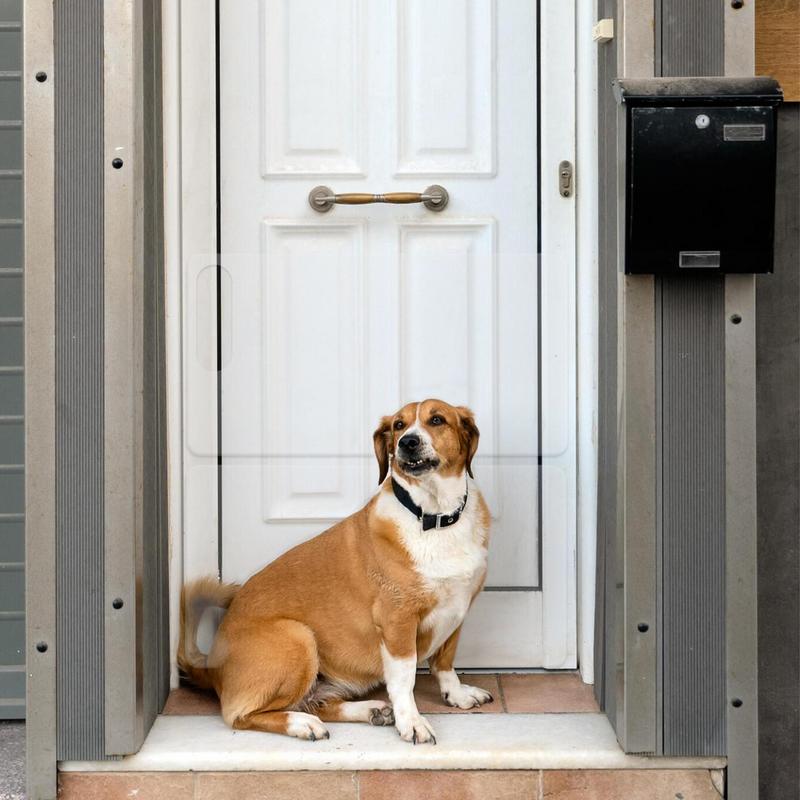 Anti Dog Scratch Door Protector Claw Guard Transparent Door Frame Protector Self Adhesive Scratch Furniture accessory