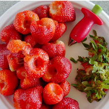 1pc jordbærskrællere metal + plastik frugt fjern stilke enhed tomat stilke jordbær kniv stilk fjerner  ok 0253