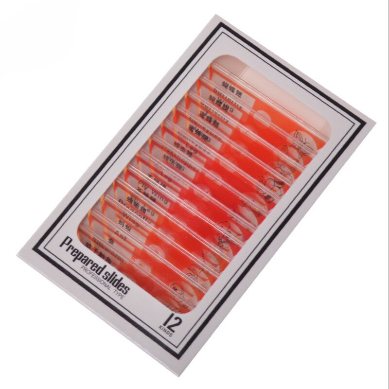 Microscope Accessories Children's Special Plastic Biological Section Animal Specimen 12 Pieces