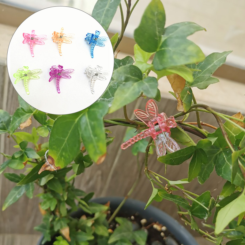 10 stk plast vin fix klip farverig sommerfugl guldsmede formet plante blomst podning fixering klip have forsyninger