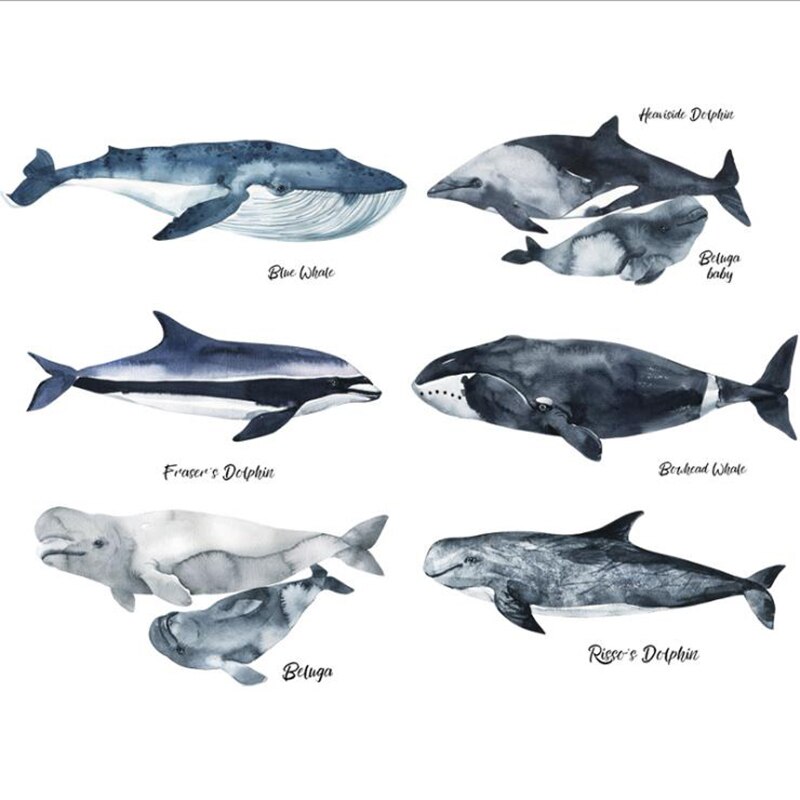 DIY Cartoon Ocean Animals Whale Dolphin Sharks Wall Stickers for Kid's Room Decor Bedroom Bathroom Decoration art Mural Decals