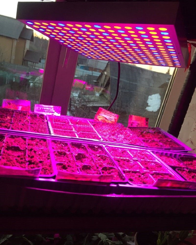 1X 200W 45W 30W Full Spectrum Panel LED Grow Light AC85~265V Greenhouse Horticulture Grow Lamp for Indoor Plant Flowering Growth