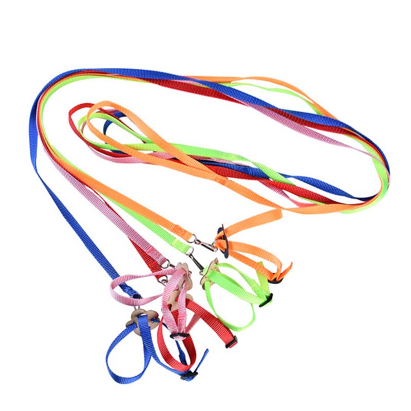 Portable Parrot Bird Hamster Turtle Lizard Traction Rope Reins 8-shaped Pet Strap Leash