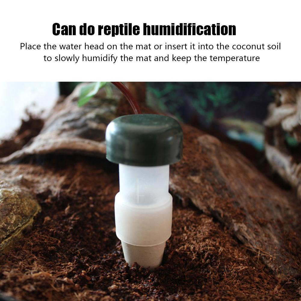 Abreuvoir caméléon pour forêt tropicale, cylindre humidificateur pour reptiles, arrosage automatique pour fleurs