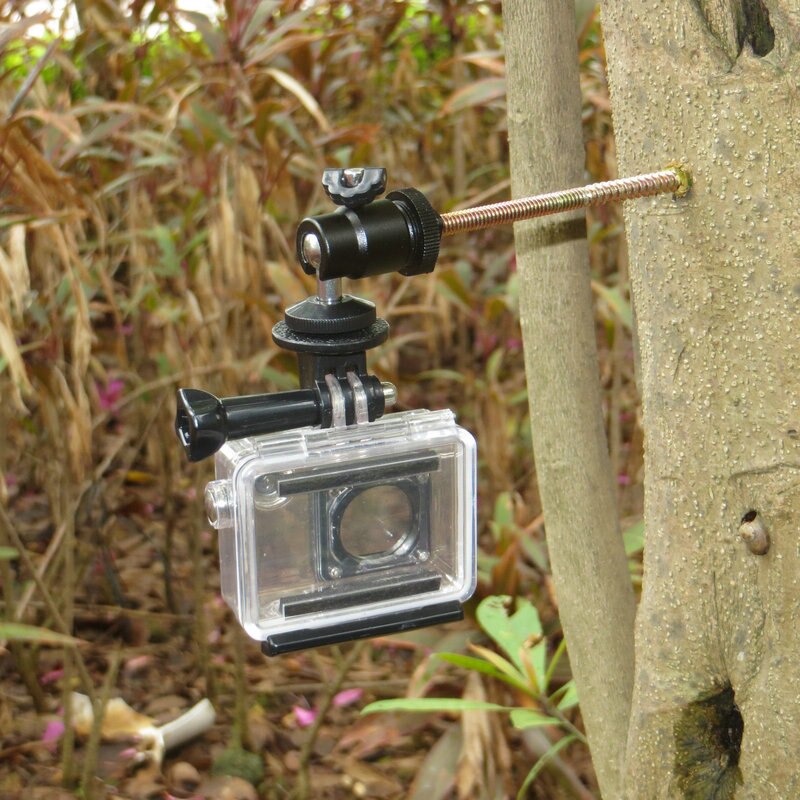 Ruuvattava puinen puukiinnitysteline, jossa 1/4-20 kameran kuulapää + kolmijalan kiinnitys gopro hero pov -toimintakameroihin, metsästyspolkukamera