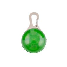 Dog Tag Huisdier Led Licht Hanger Night Flash Dierbenodigdheden Ketting Maatwerk Brilhante Para Caminhada Ao Ar Livre: Green