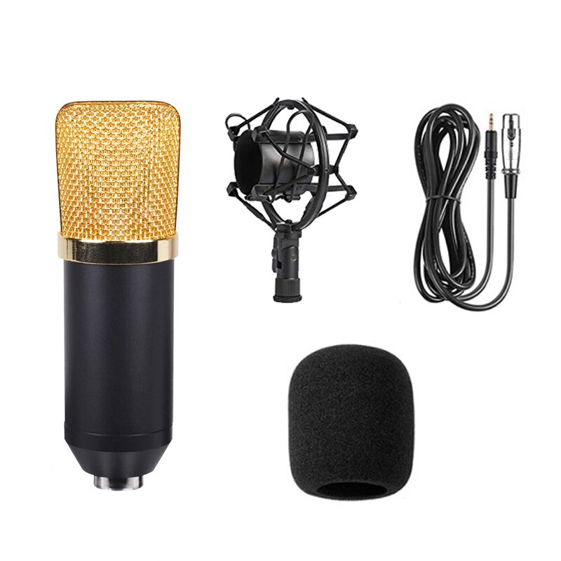 BM700 – Microphone à condensateur, pour enregistrement en Studio, karaoké, chant, TikTok: Type 1