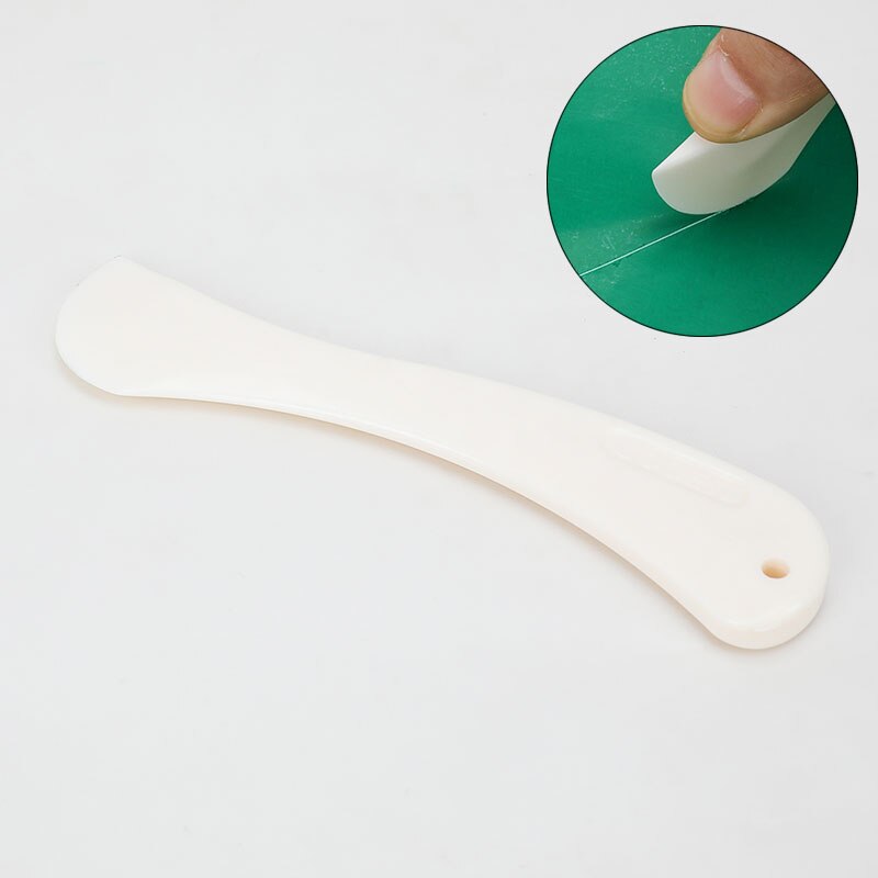 Bone