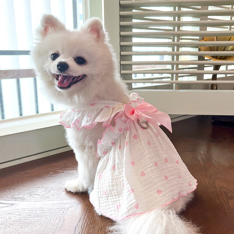 Robe rafraîchissante d'été pour chien, vêtements pour chiens, imprimé cœur, jupe pour animaux de compagnie, chaton, chiot, Chihuahua, Bichon, Yorkie, gilet pour chien pour filles