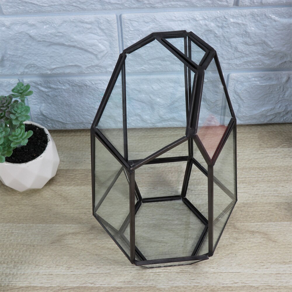 1PC Clear Glass Geometric Terrarium Tabletop Succulent Plant Box Planter Landscape DIY Home Decoration
