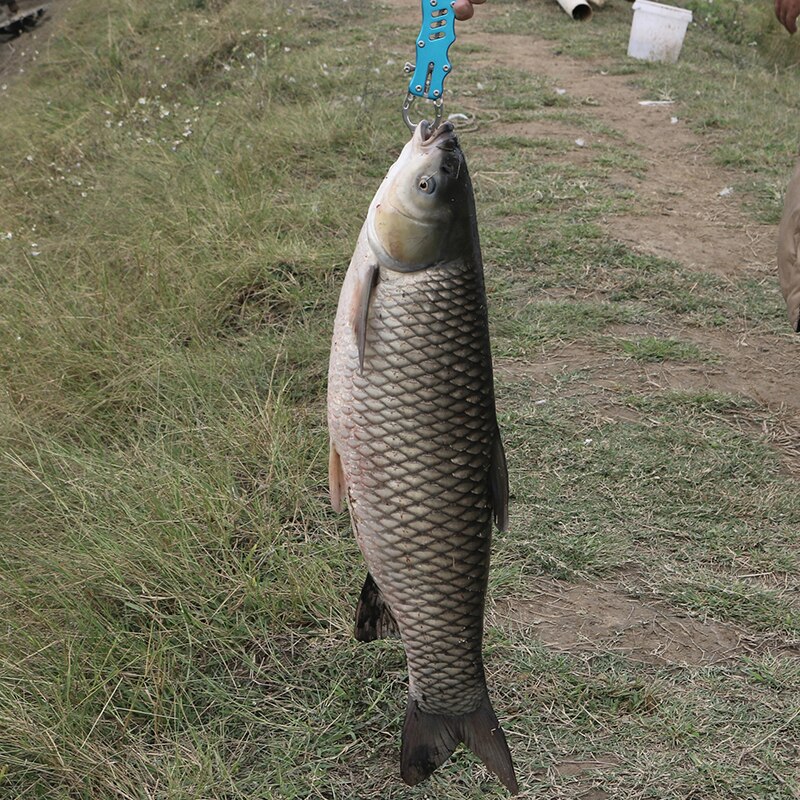 Stainless Steel Fishing Gripper Fish Lip Trigger Lock Grip Grab Clip Clamp Portable Carp Fishing Lip Grip Fishing Tackle Tools