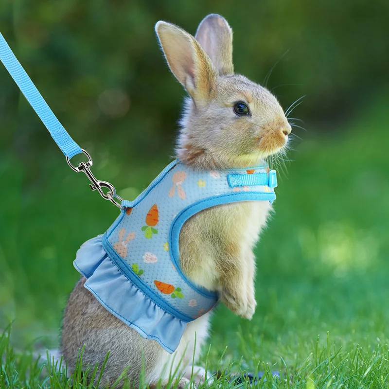 Kaninchengeschirr mit Leine, niedliche verstellbare Schnalle, atmungsaktiver Netzweste, Rock für Hase, Meerschweinchen, kleines Haustier, Traktionsgeschirr, Anzug: S / Navy Blau