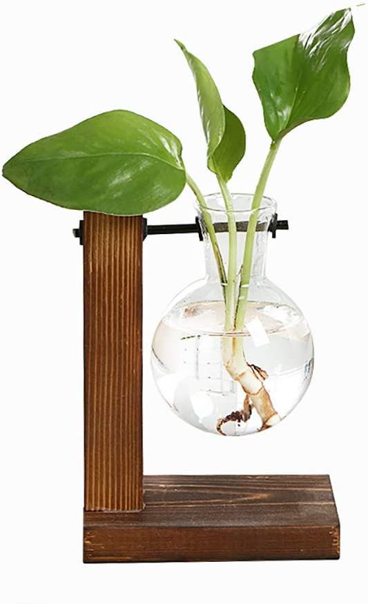 Creatieve Hydrocultuur Plant Transparante Houten Frame Vaas Desktop Kleine Verse Container Woonkamer Moderne Decoratie (Gebroken Wit