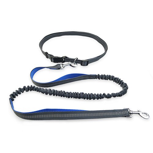 Hond Wandelen Leash Handen Gratis Elastische Taille Hondenriemen Running Jogging Hond Lood Kraag Verstelbare Nylon Reflecterende Leash: blue
