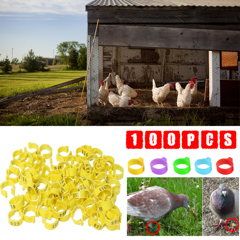 100Pcs Poultry Leg Bands Bird Pigeon Parrot Duck Hen Rings Clip 1-100 Numbered 10.5mm Poultry Leg Bands Leg Rings 10 Colors Pet