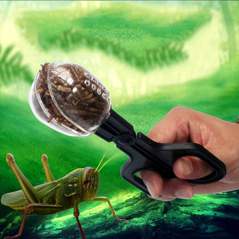 Terrario de reptiles, abrazadera de grillo de araña, herramienta de limpieza de arena para acuario, alimentación, ,