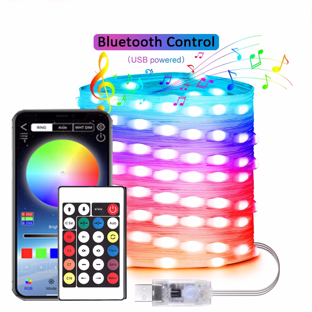 String LED Bluetooth Fairy Lights Dreamcolor RGBIC... – Grandado