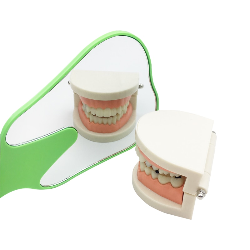 6 couleurs dents dentaires forme modèle miroir verre dent forme miroir dentaire dentiste