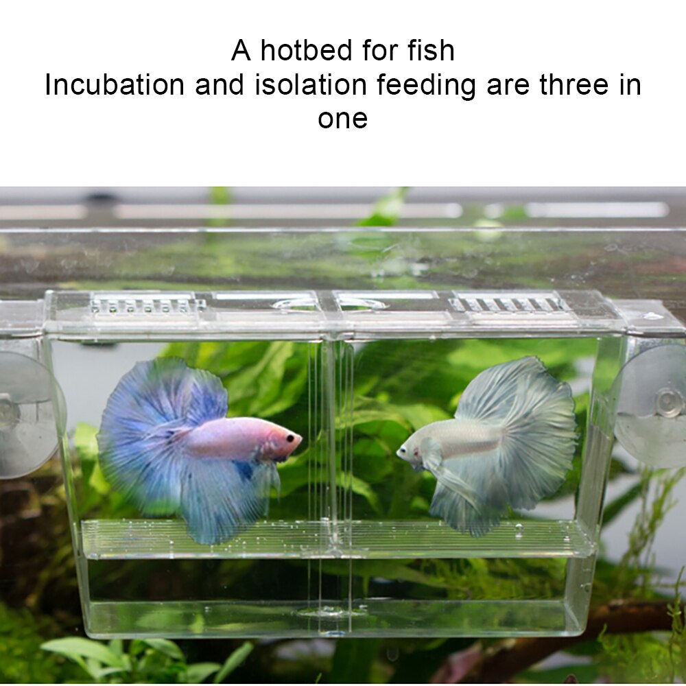 Aquarium Fishes Breeding Boxes Double Guppies Hatching Incubator Isolation Box