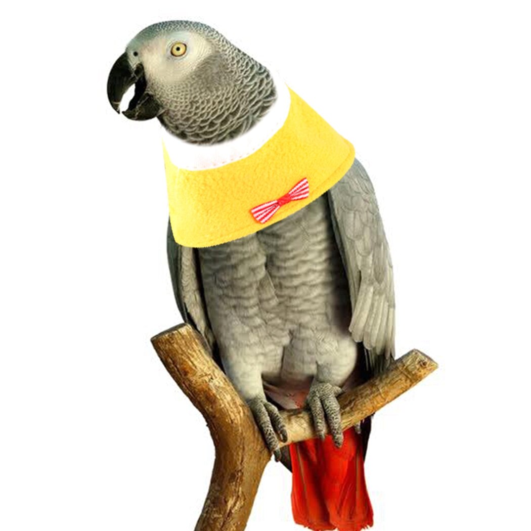 Vogel Herstel Kraag Zachte Verstelbare Papegaai Kraag Elizabethaanse Hals Kraag Voor Kaketoe Liefde Vogel Dierbenodigdheden