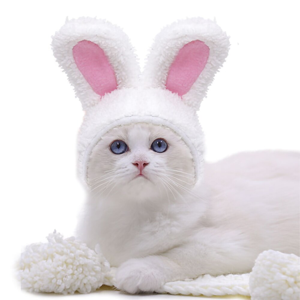 Cat Hat Bunny Rabbit Ears Headwear Kitty Cosplay Clothes Warm Costumes Dogs Kitten Party Costume Cute Adjustable Cat Accesorios