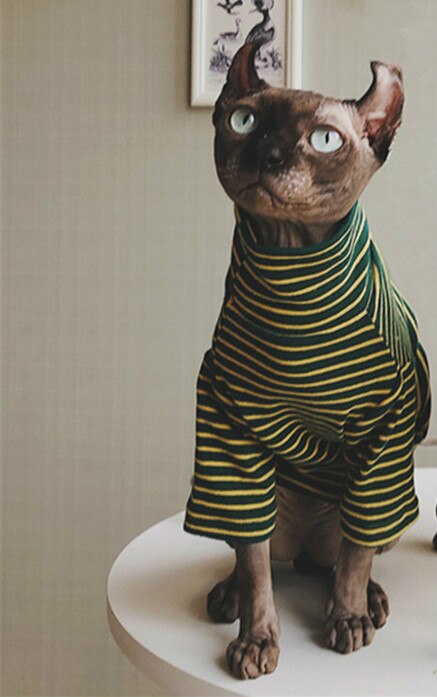 Stribe hundekat tøj steefan sfinx tøj devin litteraturelskere kæledyr hundetrøje kæledyrsdragt kat tøj tøj sweater: Grønne striber / S