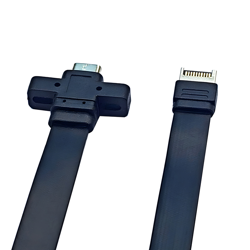 Cable de Panel frontal USB C de 30/50cm, conector adaptador tipo E a tipo C, Cable de extensión de soporte USB 3,2 GEN2 * 2 de 10/20Gb para PC de escritorio