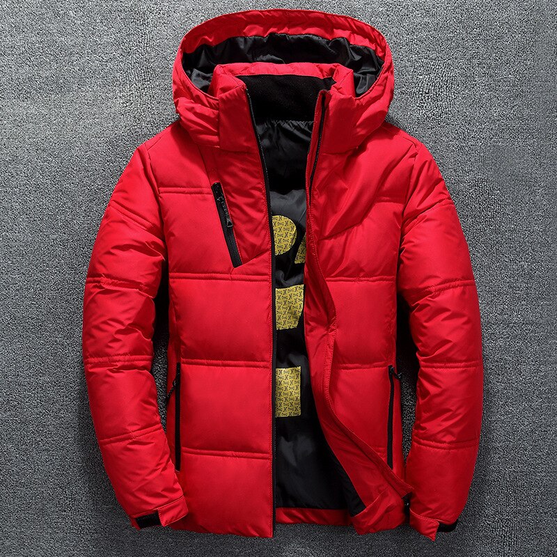 Veste d'hiver hommes Parka manteau décontracté automne col montant bouffant épais chapeau blanc canard manteaux mâle hommes hiver doudoune