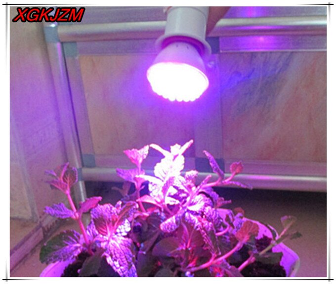 Ultra Bright UV Ultraviolet Color Purple Light 38 LED Lamp Bulb 110v/220V