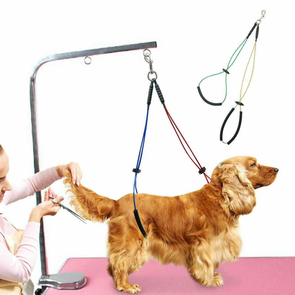 Hond Harnas Hond Terughoudendheid Lijn Met Loop Pet Grooming Tafel Beugel Dubbele Staaldraad Sling Gratis Zitten Comfortabel En Veilig