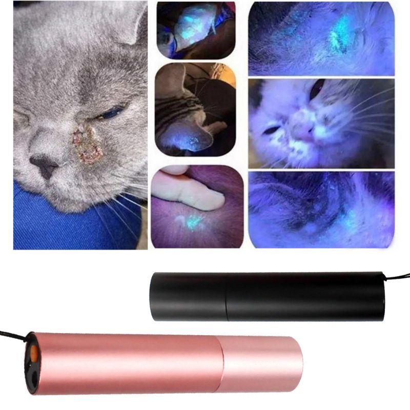 2 in 1 sjov killing teaser stick kat mos detektion rød uv lys pointer usb genopladeligt kæledyr legetøj