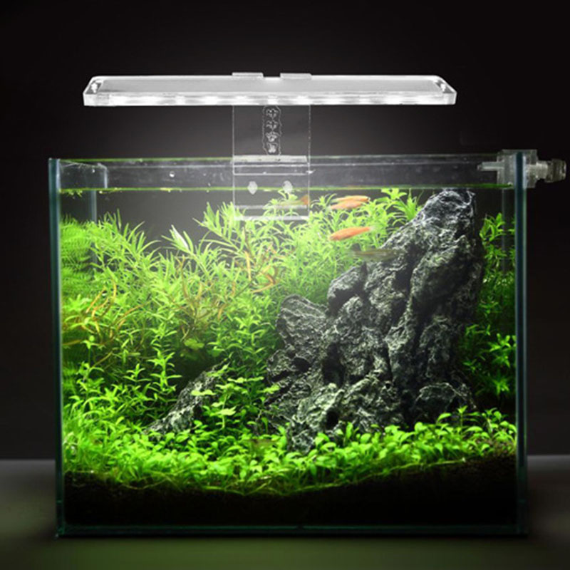 LED-Aquarium-Aquarium-Licht, ultradünn, Wasserpflanzen, Landschaft, Acryl-Lampe für Aquarien mit kleinen bis mittleren Größen