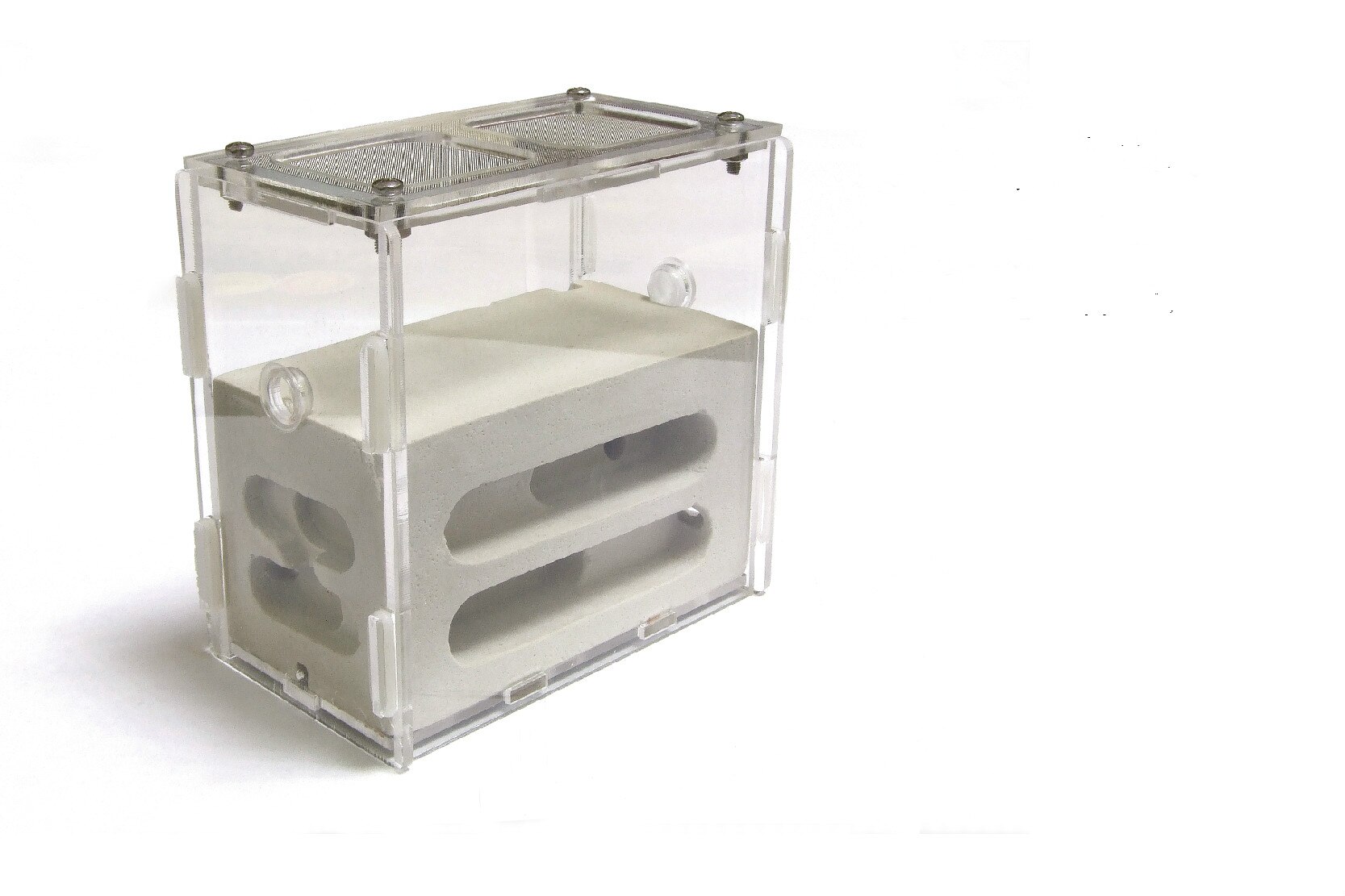 1 kpl lemmikkimuurahainen / akryylipesä betonipalautus irrotettava stereoskooppinen vettä imevä keskikokoinen maatila