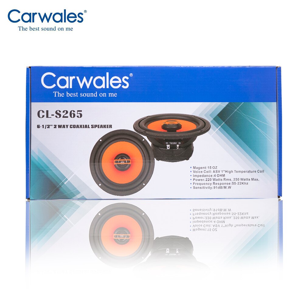 Carwales 6.5 Inch 2-Way Rear Door Coaxial Speaker 250W Car Speaker Set Tweeter Auto Sub Woofer Audio System Loud Speaker for Car