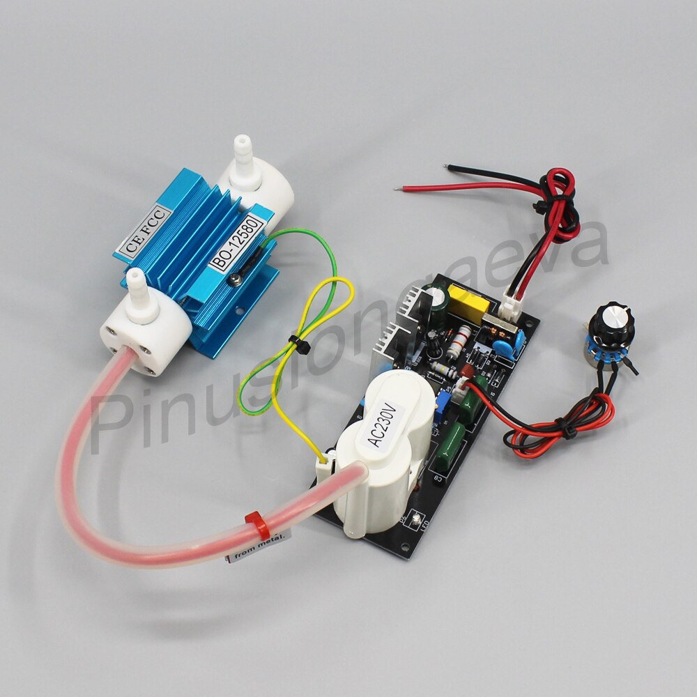 Pinus longaeva 1G/H 1gram 1000mg adjustable Quartz tube type ozone generator Kit quartz glass tube AND power supply