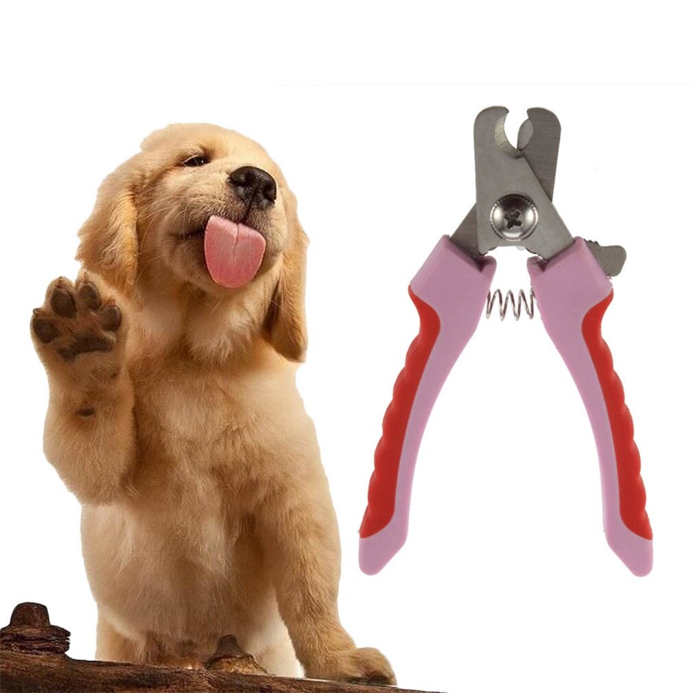 1pcs Pet Nail Clippers Cutter For Animal Dogs Cats Pig Birds Guinea Claws Scissor Cut Product Scissors Brand