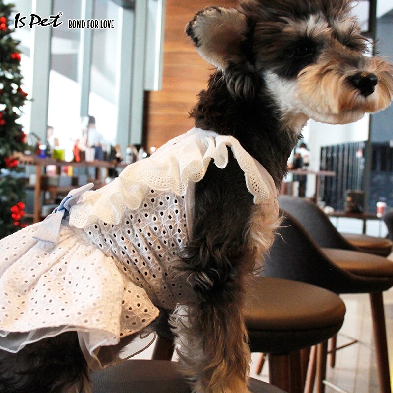 Ropa de perro Francais, tutú para gato, mascota, perro, boda, Blancanieves, vestido de lujo, ropa bonita para perros pequeños, niña, Pomerania Shih Tzu
