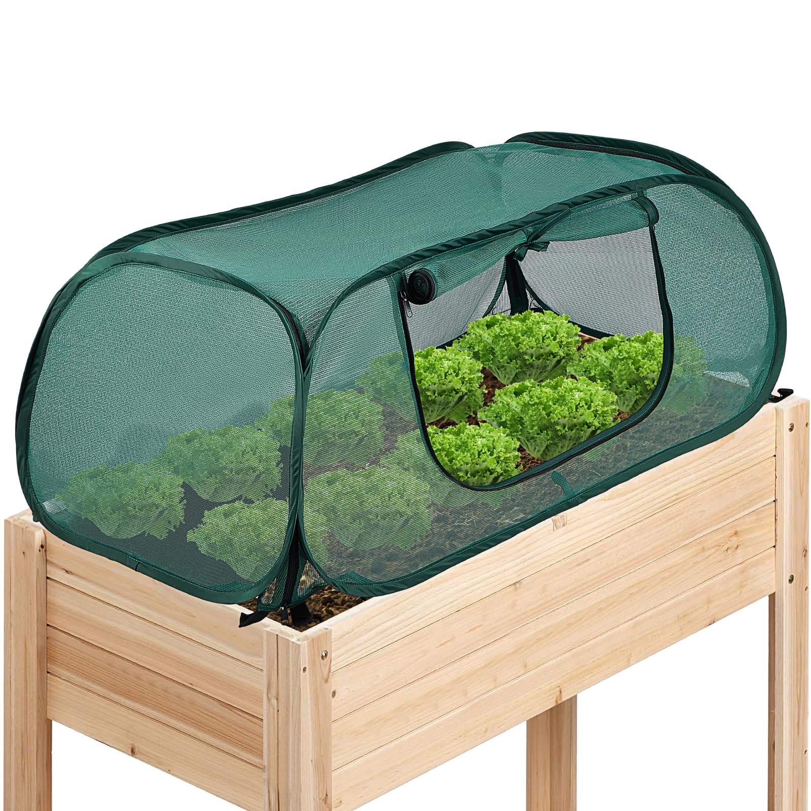 Pokrowce na rośliny ogrodowe, podwyższone grządki, ochrona przed mrozem, ochrona szklarniowa, ochrona sadzonek, owoce, warzywa, mini, na zewnątrz, robić wewnątrz, na stół.: Beżowy