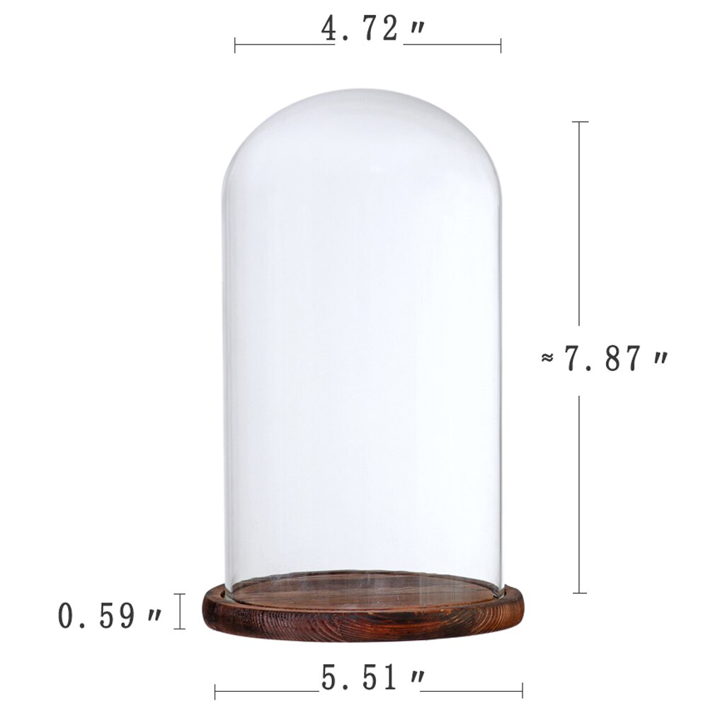 Glass Cover Dome Container with Base for Flower Rope Lights Party Cupcake Display Decor: Brown F as describe