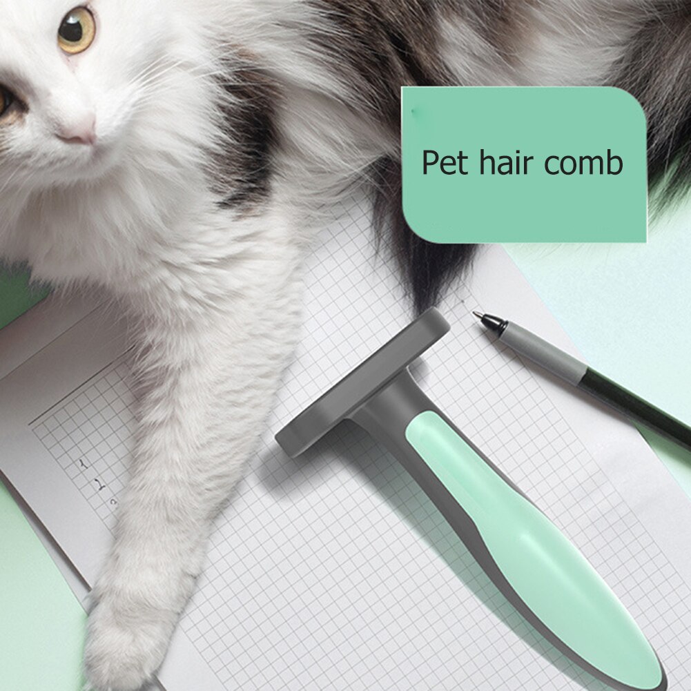 Autostoeltjes Bedden Matten Cleaning Tools Animal Hair Cleaner Kat Accessoires Puppy Kat Grooming Zelfreinigende Haar Borstel