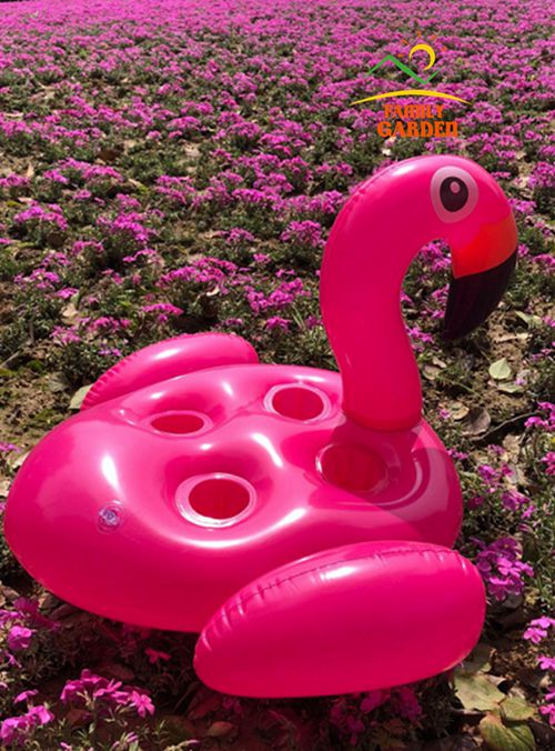 Dyreformet pool svømmer oppustelige flydende kopholdere til drikkevarer glas- rosa lyserød flamingo hvid svane sky rianbow: Lyserød