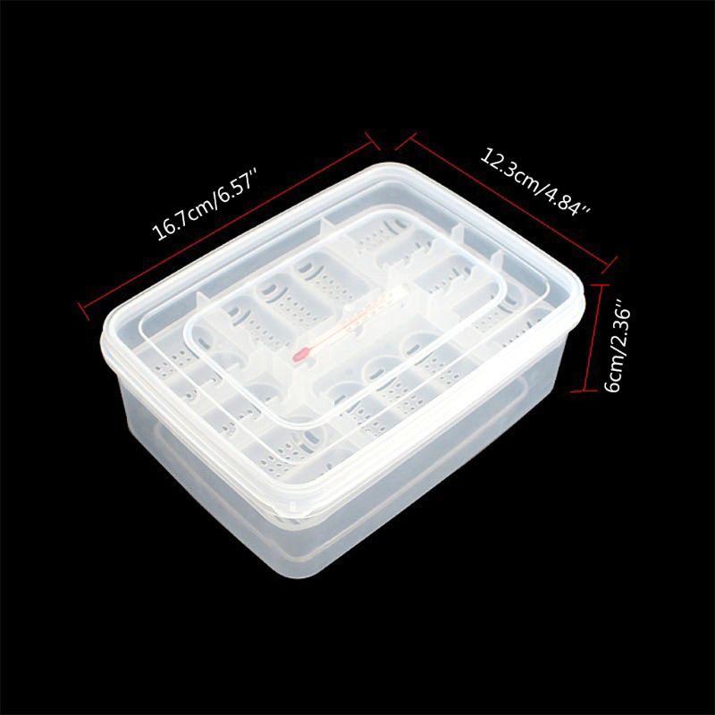 Bandeja de huevos de reptiles, máquina para incubar huevos de lagarto, caja de huevos Gecko, dispositivo de incubación dedicado, proveedor de incubadora de tortugas